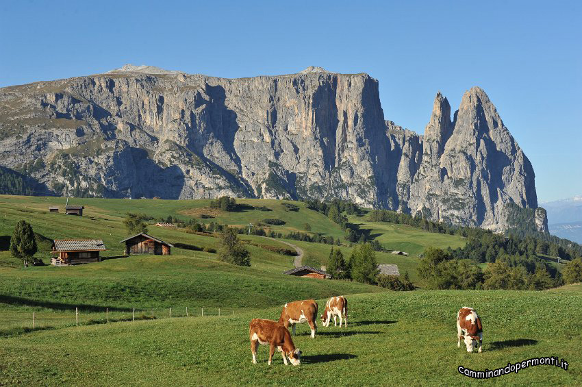 007 Alpe di Siusi - Altipiano dello Sciliar - Punta Sentner.JPG